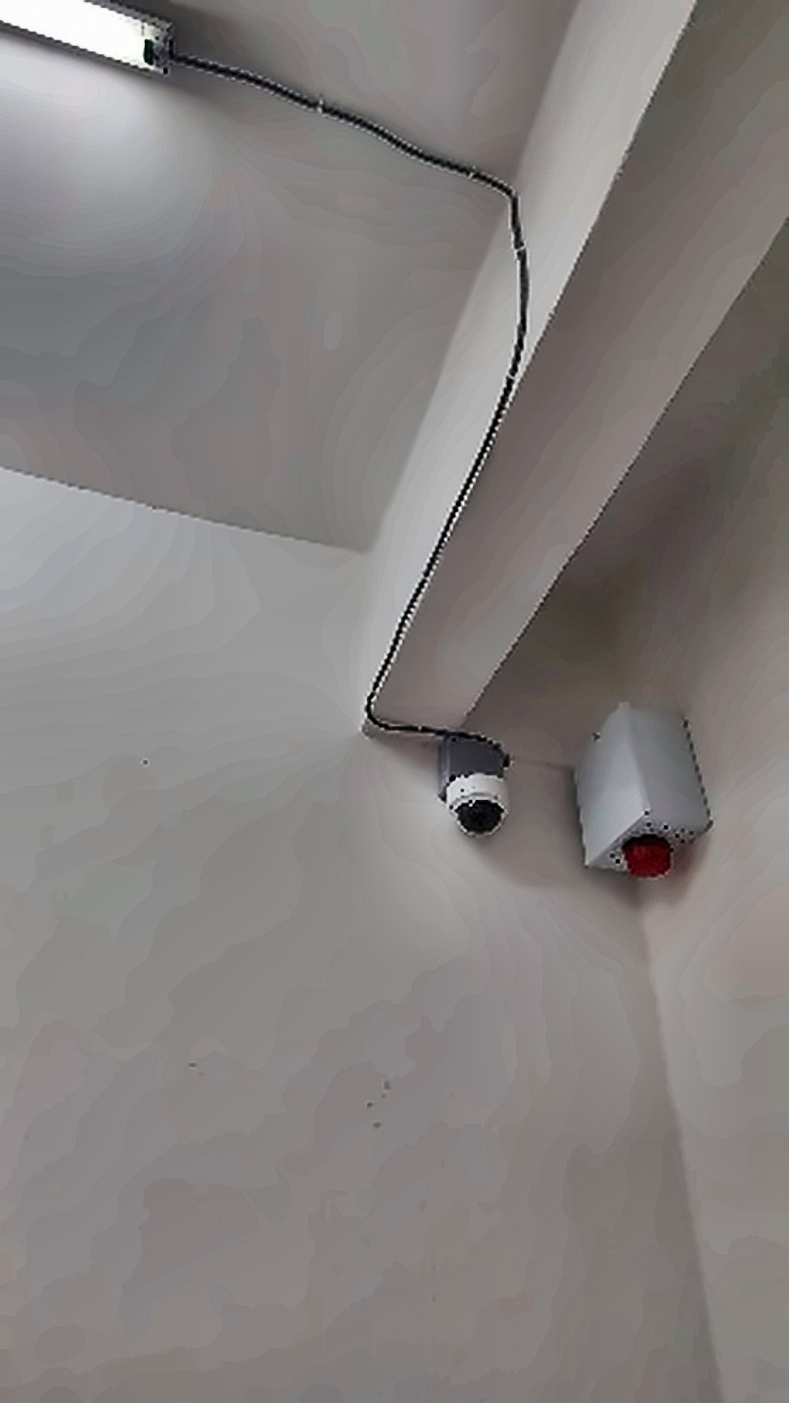 Camera and sensor